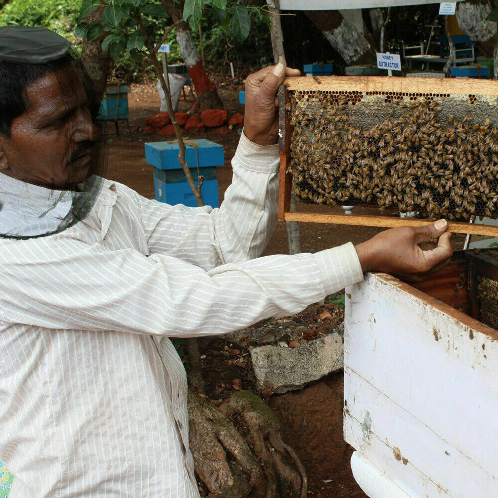 Mosquito Fly Head Net