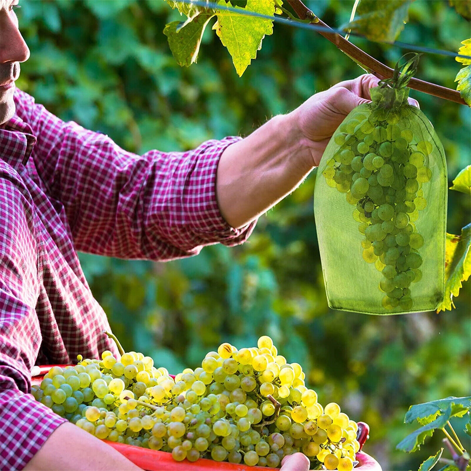 100x Fruit Net Bags Agriculture Garden Vegetable Protection Mesh Insect Proof