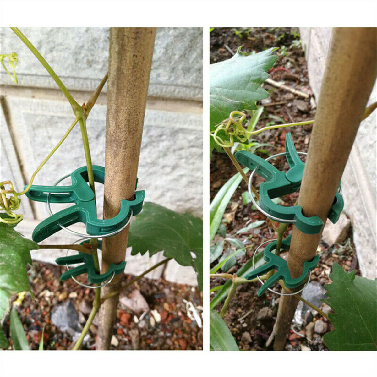 20PCS Garden Plant Clips Tomato Tie Stem Orchid Support Weatherproof Grow Training