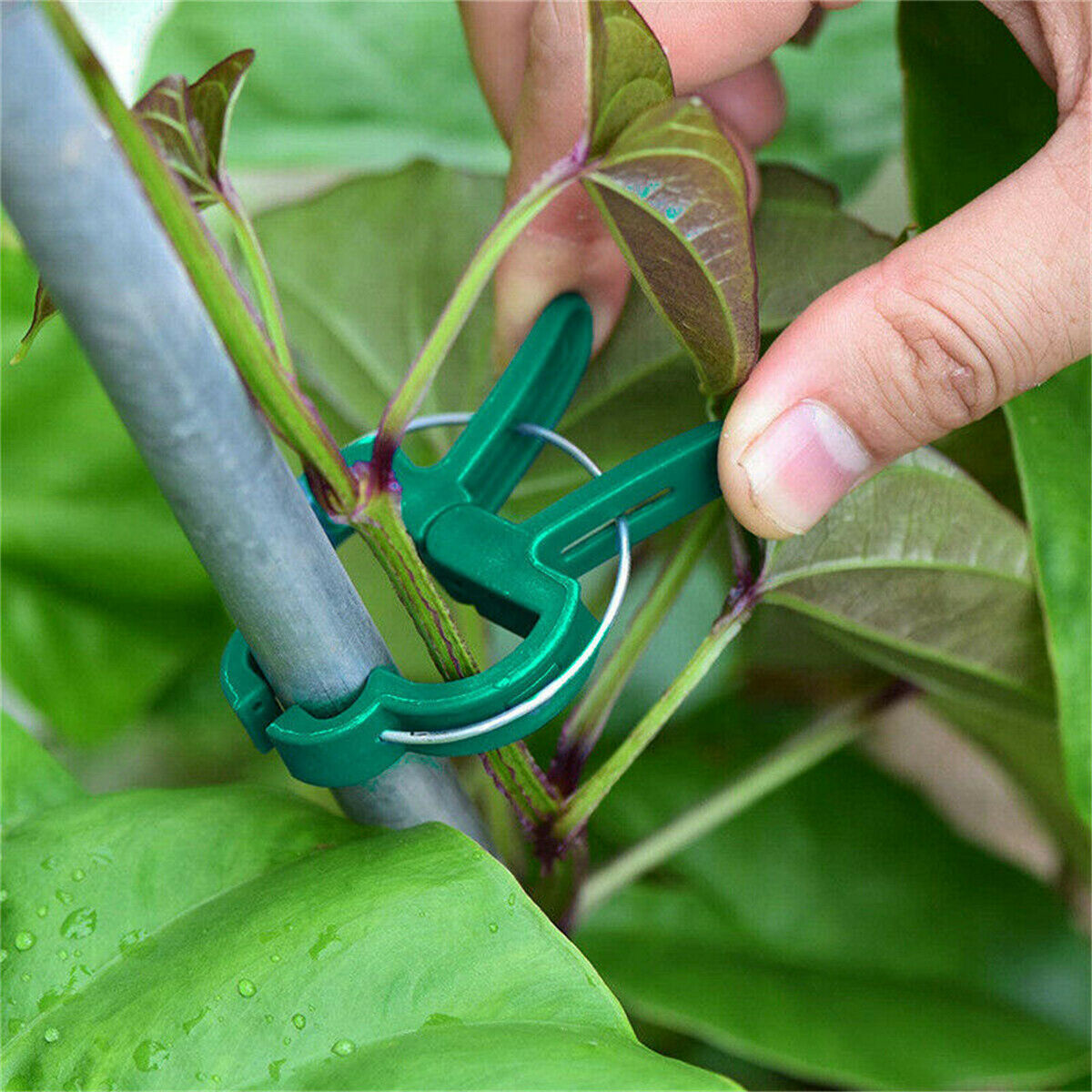 20PCS Garden Plant Clips Tomato Tie Stem Orchid Support Weatherproof Grow Training