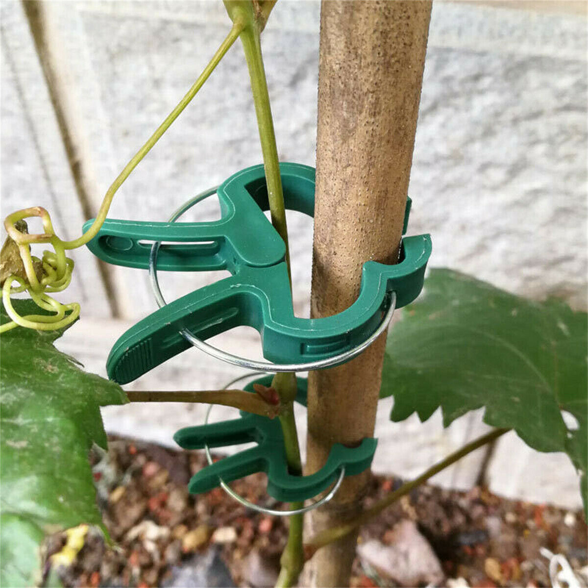 20PCS Garden Plant Clips Tomato Tie Stem Orchid Support Weatherproof Grow Training