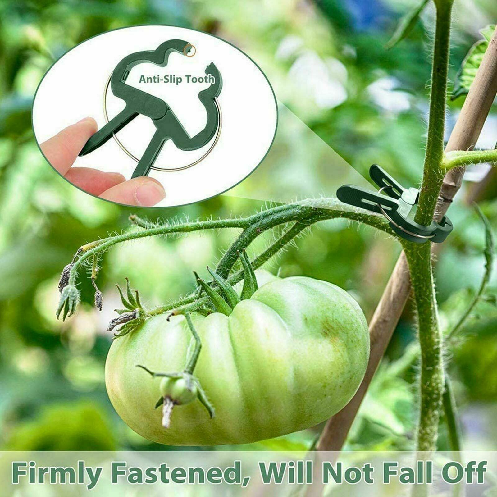 20PCS Garden Plant Clips Tomato Tie Stem Orchid Support Weatherproof Grow Training
